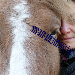 雪碧直播网址 ��逐末舍本）