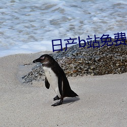 日产b站免(免)费入口