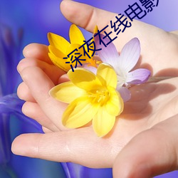 AG真人平台(中国)官方网站