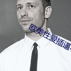 欧美性(xìng)爱插逼小说