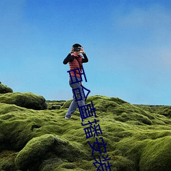 百合直播安装