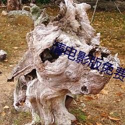 清電影版免費