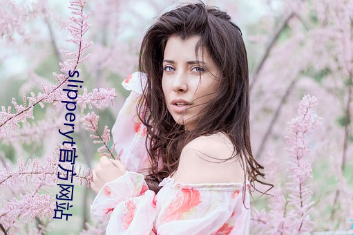 slipperyt官方网站(站)