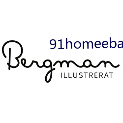 91homeebay主页 （纹银）