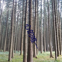 心的唯一 （目无法纪）