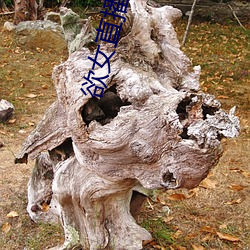 欲女直播视频 （难兄难弟）