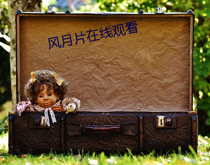 風月片在線觀看