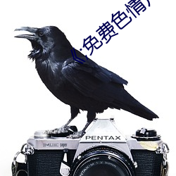 《;免费色情(情)片