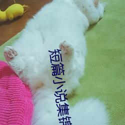 短篇小说集锦