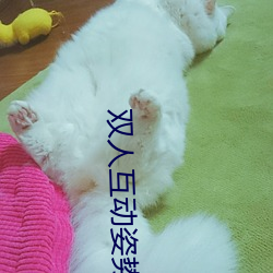 双人互动姿势参考(姿势指南:21个姿势示例)