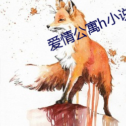 爱情公(公)寓h小说