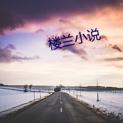 楼(lóu)兰小说