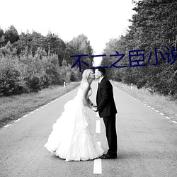 不二之臣小说