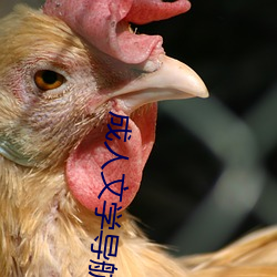 成人文学导航 虎穴得子）