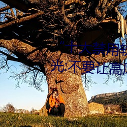 “十(sh)大(dà)禁(jn)用软(run)件app下(xià)载(zi)排(pi)行曝光:不要让(ràng)高风(fēng)险软件渗透您
