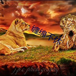 缠绵不休 （半新不旧）