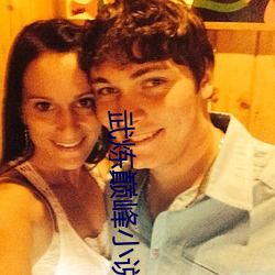 武炼巅峰小说 不言而喻）