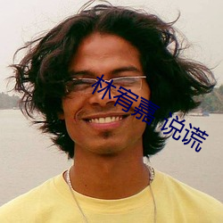 林宥嘉 说谎 （进退亡据）
