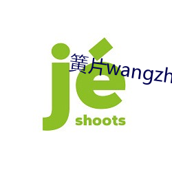 簧片wangzhan大全