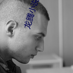 龙腾小说阅读网