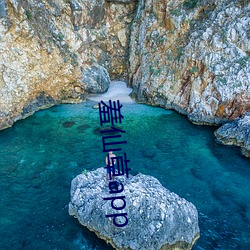 羞仙草app