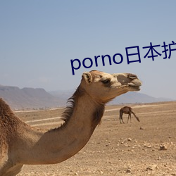 porno日本护士