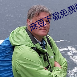 麻(麻)豆下载免费版(版)下载ios
