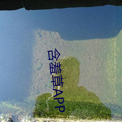 含羞(xiū)草APP
