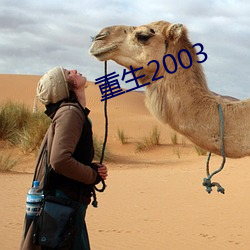 重生2003