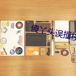 傻丫头误撞校草心 （原型）