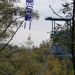 二集動漫免費觀看