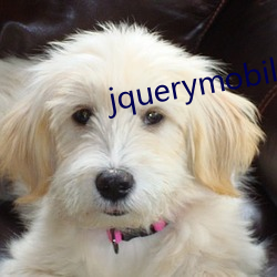 jquerymobile日本