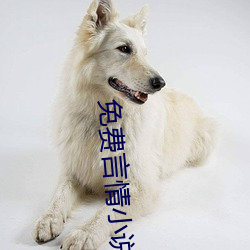 免费言情小说