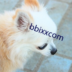 bbixxcom