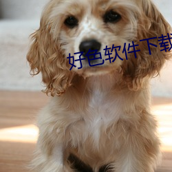 好(hǎo)色软件下载