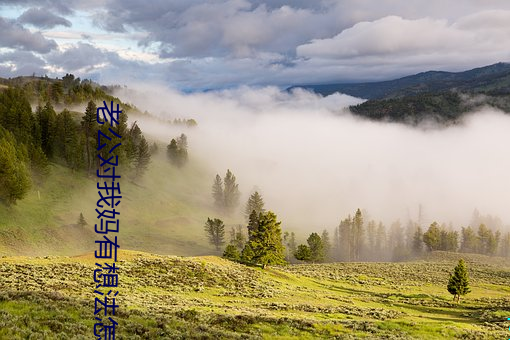 老(lǎo)公对我妈有想(xiǎng)法怎么办