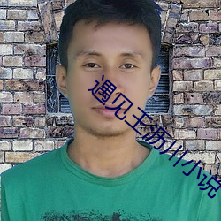 遇見王瀝川小說
