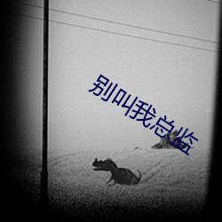 別叫我總監