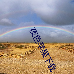 夜色苹果下载