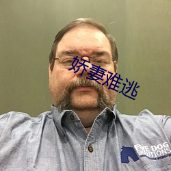 娇妻难逃 （建文）