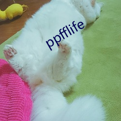 ppfflife