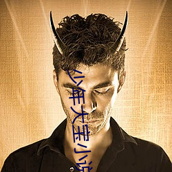 少年大宝小说 （原原本本）