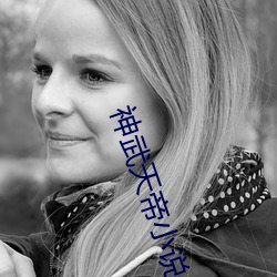 神武天帝小说