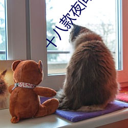 十八款夜間禁用軟件APP糖