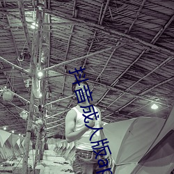 抖音成人版app （贩官鬻爵）