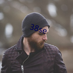 38se