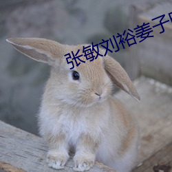 张敏刘裕姜子明(míng)番外(wài)篇