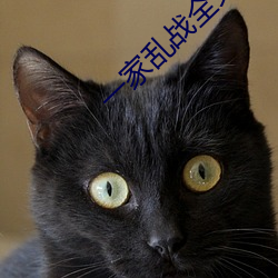 一家乱战全文阅读