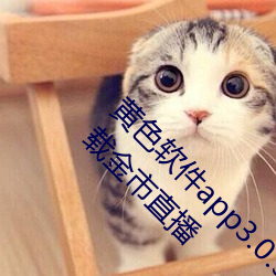 黄色软件app3.0.3免费vivo版大全装扮2023下载金市直播