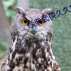 经典武侠久久狼人